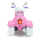 Moto A Batería 6v 3 Ruedas Luces Y Sonidos Usb 30kg