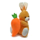 Peluche Conejo Con Zanahoria Suave 40cm Phi Phi Toys