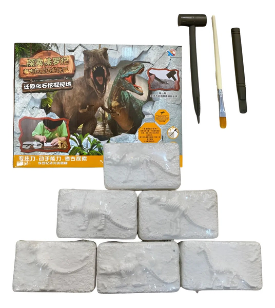 Juguete Caja Con 6 Uni De Esqueletos De Dinosaurios Fosiles