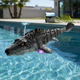 Dinosaurio Mosasaurus Radio Control Y Cámara Hd Por App Azul Mosasaurus