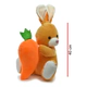 Peluche Conejo Con Zanahoria Suave 40cm Phi Phi Toys