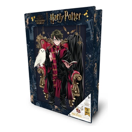 Rompecabezas Harry Potter Harry 300 Piezas Puzzle