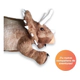 Dinosaurio Peluche Triceraptos 38cm De Largo Coleccionable