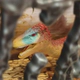 Velociraptor Juguete Con Detalles Muy Reales