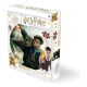 Puzzle Rompecabezas 3d Harry Potter 300 Piezas
