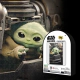 Rompecabezas Star Wars The Mandalorian Grogu 300 Piezas