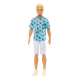 Muñeco Barbie Fashionista Ken Surtido Mattel