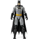 Muñeco Accion super heroes y villanos Dc 30cm Figura Articulada