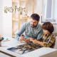 Rompecabezas Harry Potter Hipogrifo 300 Piezas Puzzle