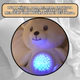 Peluche Osito Proyector De Luz Con 3 Colores Y 10 Sonidos