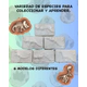 Juguete Caja Con 6 Uni De Esqueletos De Dinosaurios Fosiles