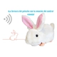 Conejo Interactivo A Control Remoto Con Peine 4 Canales