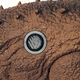 Dinosaurio Soft Triceratops Con Sonido Dinopark