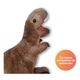 Peluche T-rex 20 Cm De Alto Phi Phi Toys Coleccionable