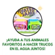 Juego De Agua Dos Botones En Blister Animales Acuáticos