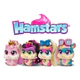 Hamstars Mascota Coleccionable Cloe C/ Accesorios Glam Cta