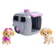 Paw Patrol Patrulla Canina Skye/marshall Pup To Hero Playse