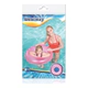 Inflable Salvavidas Para Pileta Bestway 76 Cm