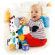 Cebra Bloques De Actividades Fisher-price