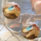 Velociraptor Juguete Con Detalles Muy Reales
