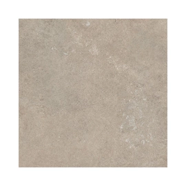 Porcelanto Alberdi 60X60 tartaria beige nat rect 1°