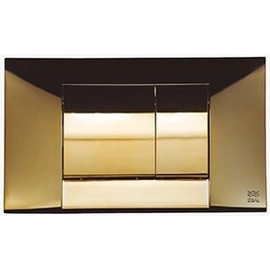 Accesorio de baño Ideal Tapa Tecla dual 81350 Dorada bri