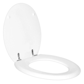 Accesorio Asiento Para Inodoro Con Hjes. Met. Flor