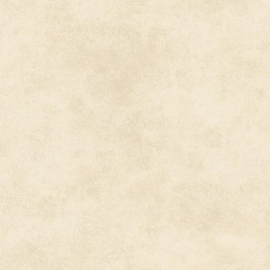 Porcelanato Alberdi 60x60 domo natural rectificado 1°