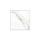 Porcelanato Vite 80x80 Calacata pulido