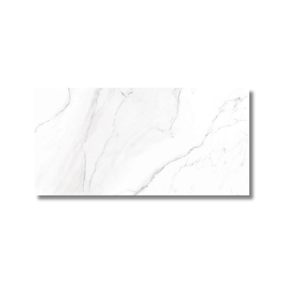 Porcelanato Tendenza 57.5x117 Aspen Satinado Rect Cal 1º