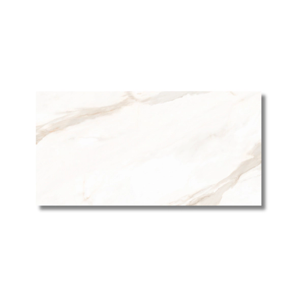 Porcelanato Tendenza 57.5x117 Michelangelo Pulido Cal 1º