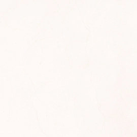 Porcelanato Tendenza 58,5x58,5 Golden Pulido cal 1º