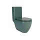 Inodoro largo Ferrum Fontana verde oliva FON-IN-250-VO