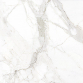 Porcelanato Cerro Negro 58x58 Ravenna Pulido