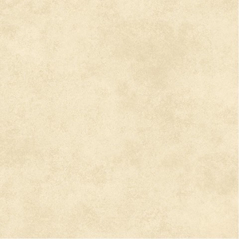 Porcelanato Alberdi 60x60 Domo nat sin rectificar