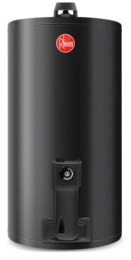 Termotanque de colgar Rheem 80 lts GN TGNCO80RH