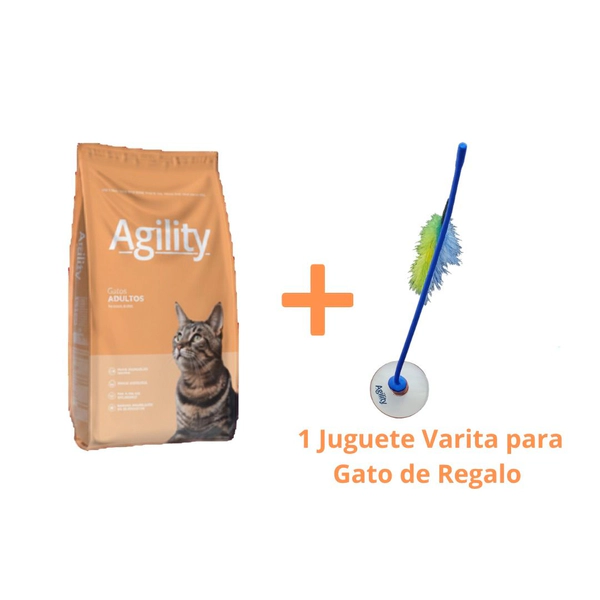 PROMOAGILITY1