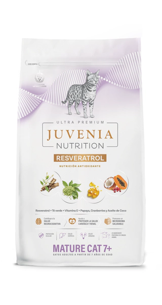 Juvenia mature cat