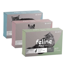 Feline Full Spot Gato