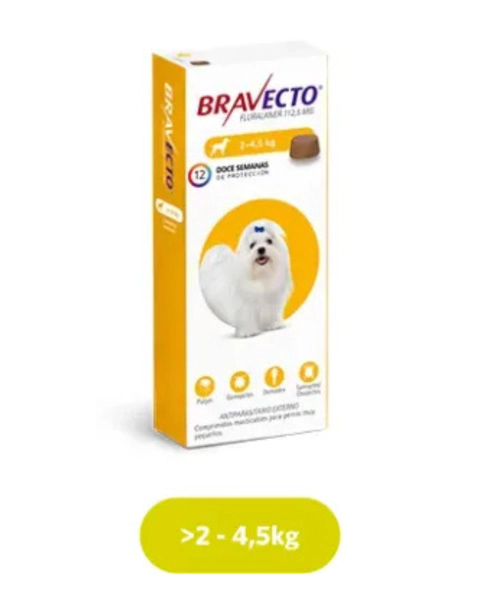bravecto 2-4