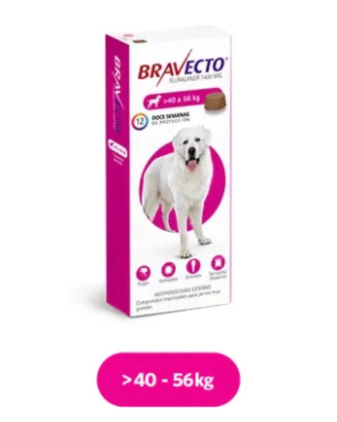 bravecto 40-56