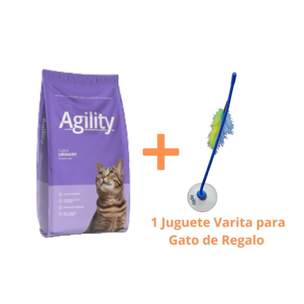AGILI5Y1