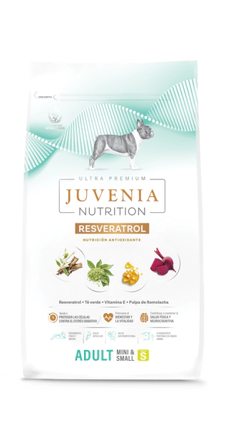 juvenia ad chico