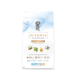 Juvenia Perro Cachorro Mediano y Grande