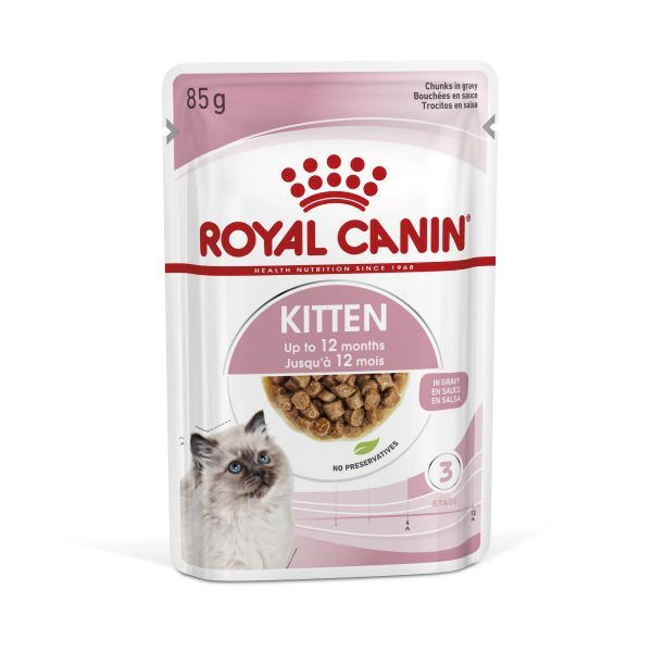 rc kitten