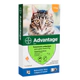 Advantage gato <4