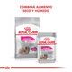 Royal Canin Perro Mini Exigent 3Kg