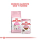 Royal Canin Gato Kitten