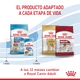 Royal Canin Perro Medium Puppy x 15Kg + 3Kg Gratis