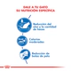 Royal Canin Gato Indoor